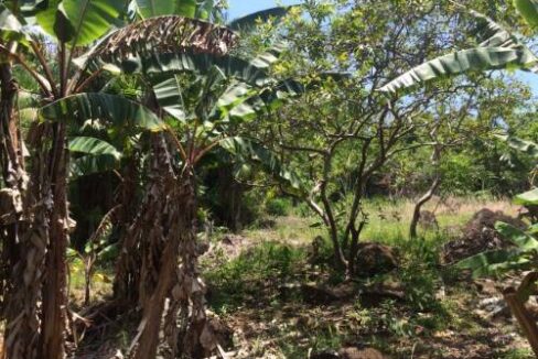 Lindo-terreno-a-venda-com-vista-para-o-mar-em-Ilhabela6