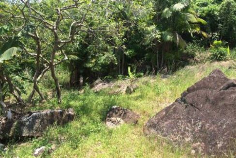 Lindo-terreno-a-venda-com-vista-para-o-mar-em-Ilhabela7