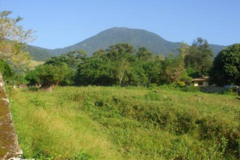 Lindo-terreno-de-costeira-a-venda-em-Ilhabela3