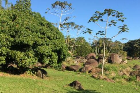 Terreno-a-venda-em-residencial-fechado-na-costeira13