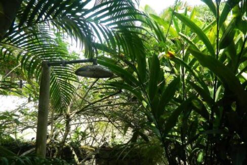 Casa-a-venda-em-Ilhabela-com-acesso-ao-mar-praia-e-costeira16