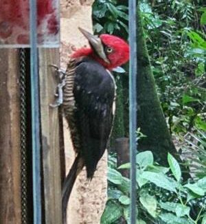 Casa-de-luxo-a-venda-em-Ilhabela42