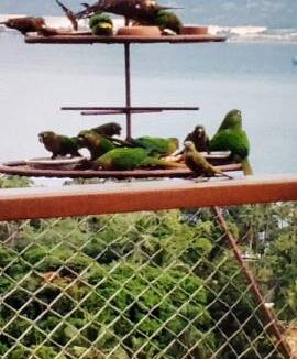 Casa-charmosa-a-venda-em-Ilhabela-com-vista-para-o-mar42